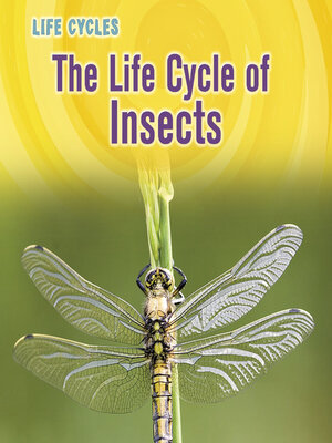cover image of The Life Cycle of Insects